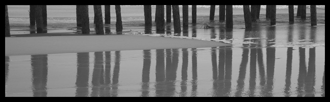 008-G103-A-Black-and-White-Pilings