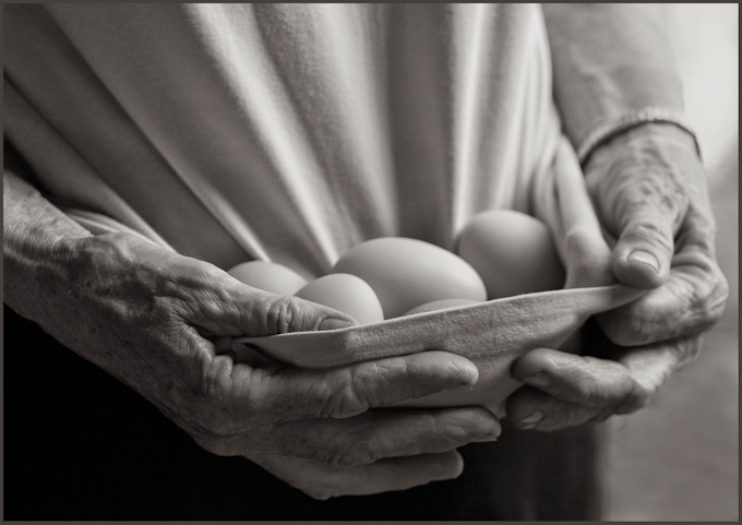 57-Zoe-Theberge-A-Sue's-farm-eggs