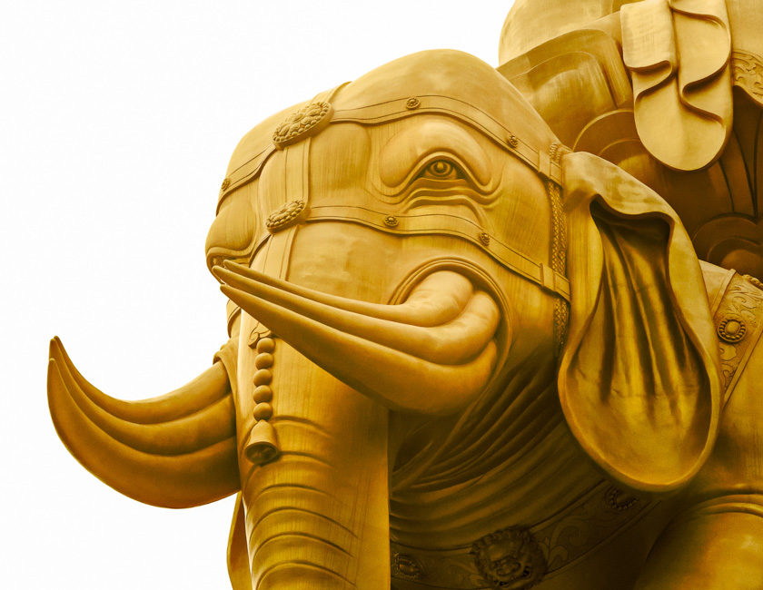 71-Knapp_Hudson_A_Golden_Elephant
