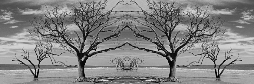 57-LeslieInman-A-Dancing_Trees
