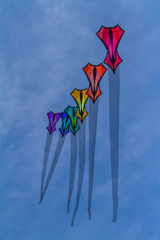 67-colin-chase-b-kites
