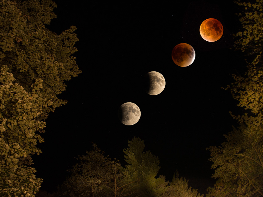 72-fred-heimann-b-backyard-lunar-eclipse