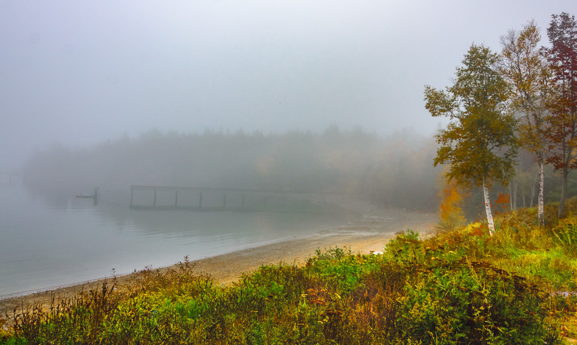 58-maryann-hindle-b-morning-fog-(1-of-1)