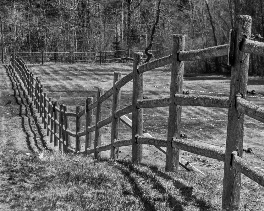 67-paul-vanderwerf_b_horse-fence-1