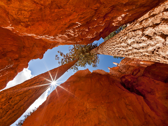 28-Michael_Leonard-A-Up_in_Bryce