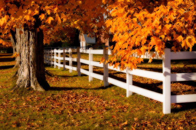 45-ChrisDrew-A-Dreamy-Fence