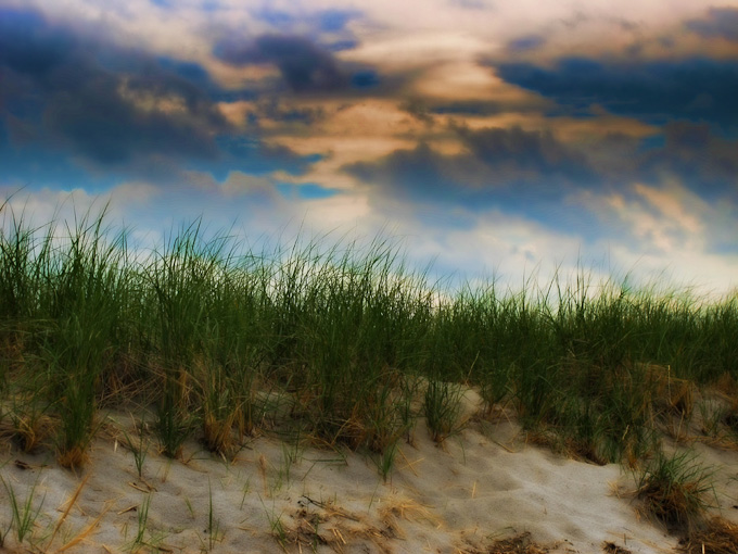 56-R109-B-Ferry_Beach