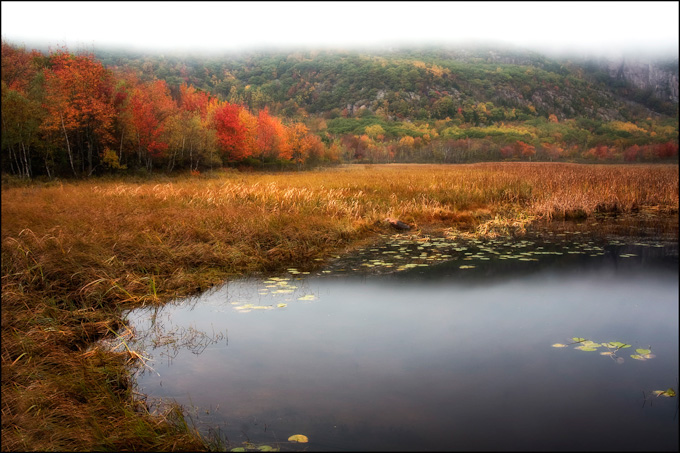 38-Sandra_Wescott_A_Autumn_In_Acadia