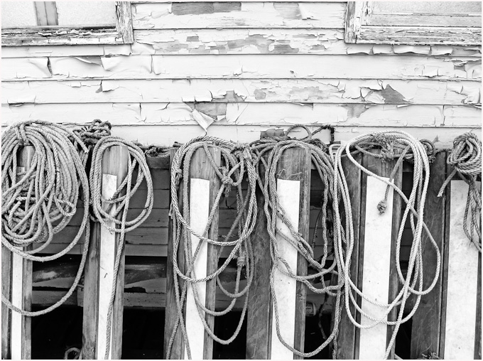 41-pam-davis-A-roped-in