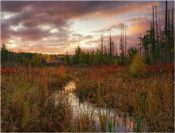 42-DarylannLeonard-A-Autumn-Morning