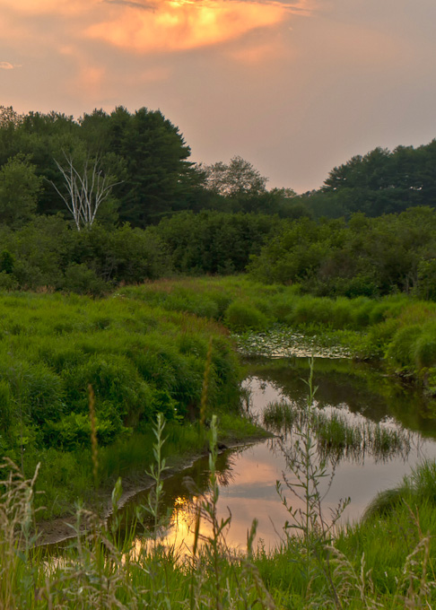 49-RichPojasek-B-Sunset-Over-Marsh