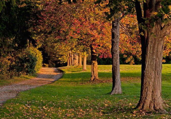 60-tracyneuville-B-walkingpath