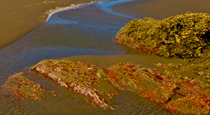 022-lilakirkwood-A-Red-Rock-in-Sand