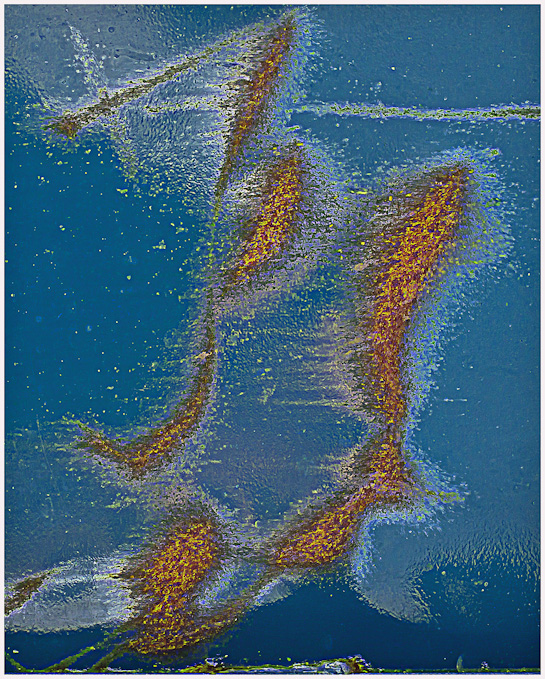 023-rickplummer-B-Oxidation-Abstract