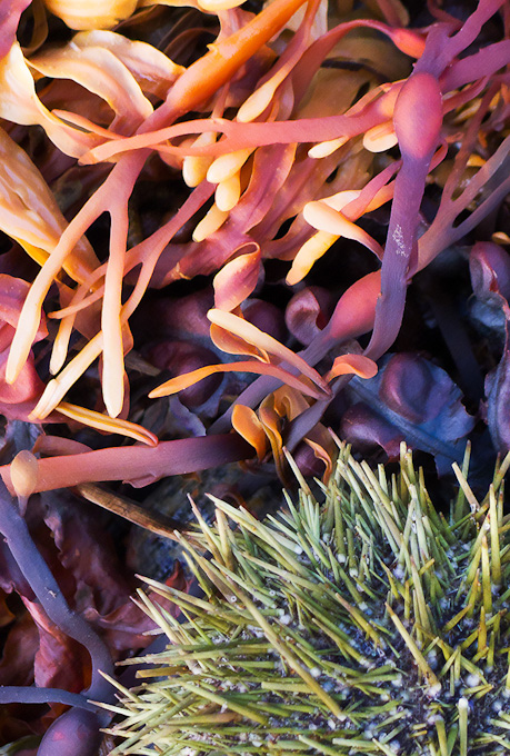 031-johnbald-A-shoreline-abstract