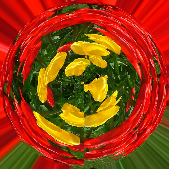 035-JoyceLove-B-color-splash