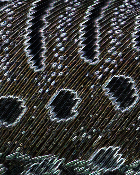 106-abstract-TraceyBenson_B_Lines_And_Dots
