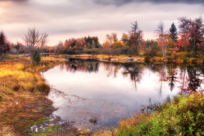 31-SandraWescott_A_PaintedMorning