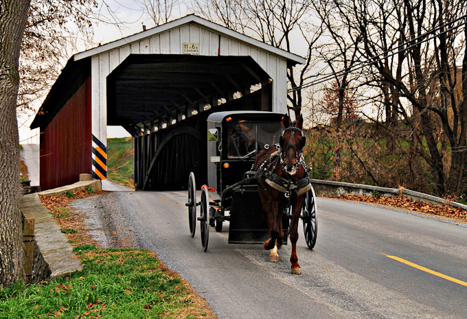 40-RonaldAuthier-A-AmishBuggyRide-Intercourse-PA