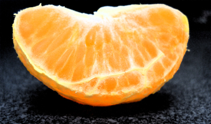 44-EricaSmith-B-Segmentation