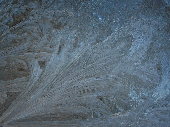 45-meghanwakefield-B-morning-frost