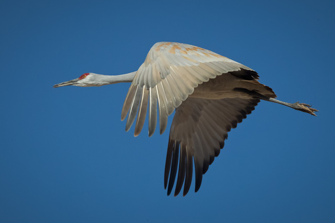 56-MikeCullivan-B-In-Flight