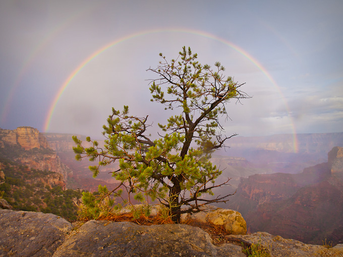 74-Michael_Leonard-A-Canyon_-Rainbow