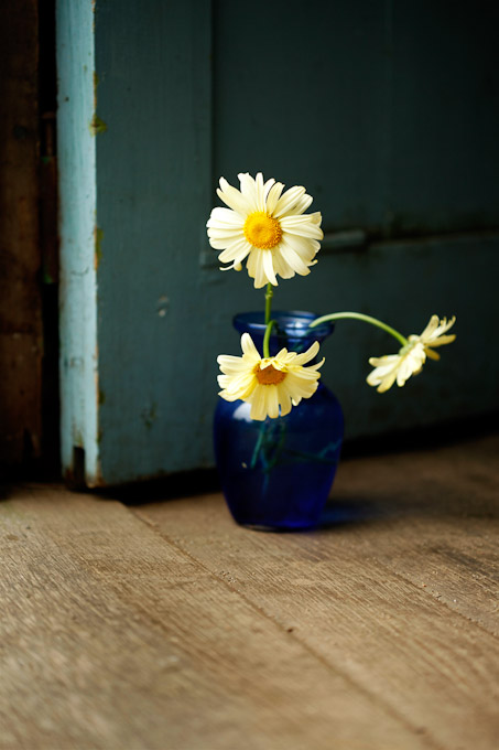 22Zoe-A-daisey-door-stop