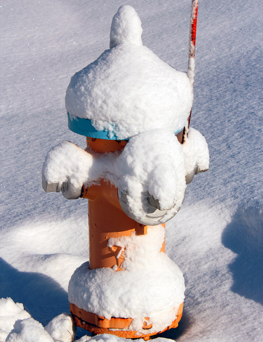 12-KathleenWiklund-B-Fire-Hydrant-Foul-Weather