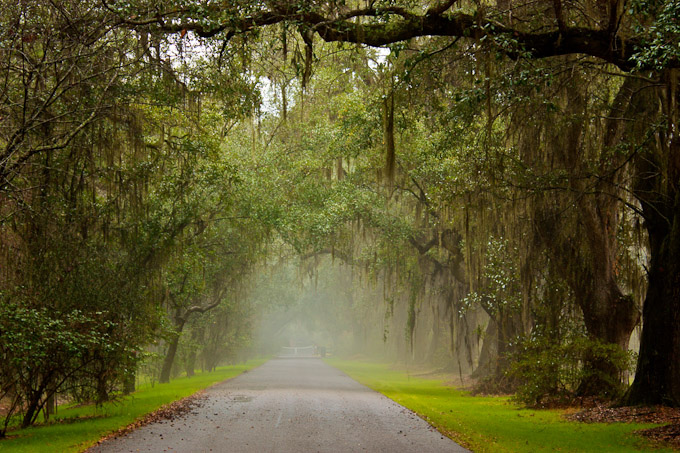 46-francesca-gs-B-fog-on-the-way