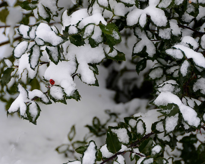 53-WalterBuczacz-B-March-Snow