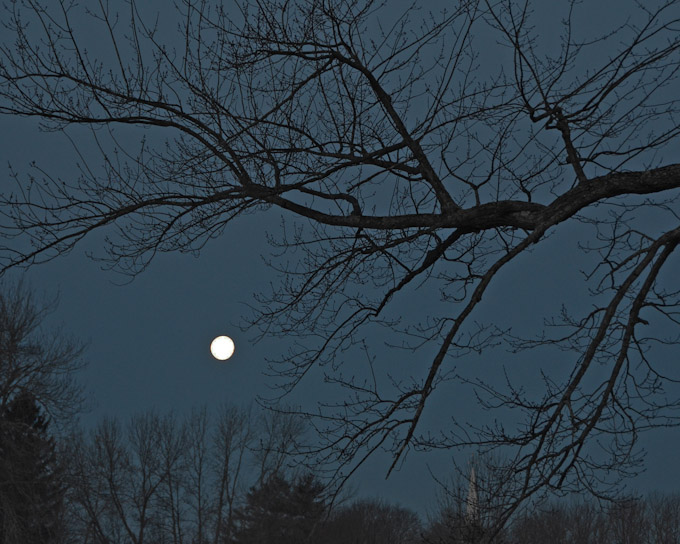 015-WalterBuczacz-B-Hunger-Moon