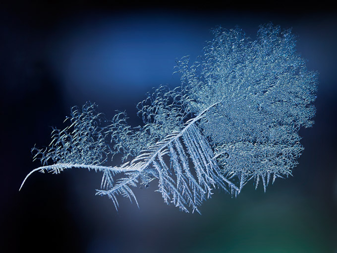 025-Michael_Leonard-A-A-touch-of-Frost