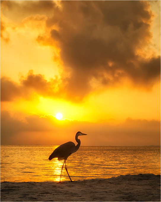 077-DarylannLeonard-A-Sunrise-Silhouette