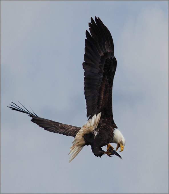 05-Linda_Cullivan_A_Catch-of-the-Day