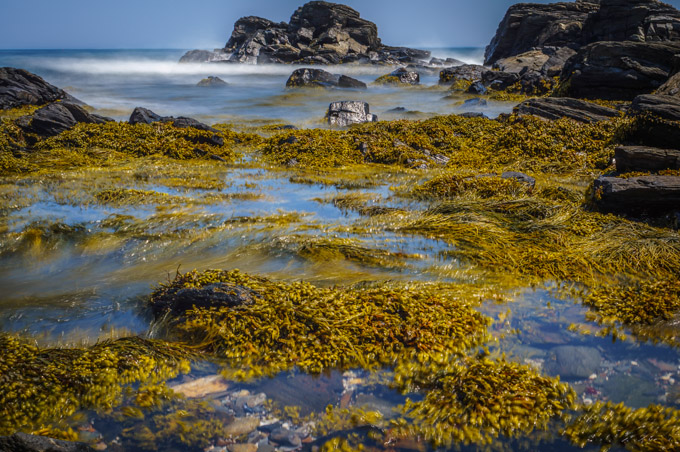 28-EricPiskura-B-Knotted-Wrack