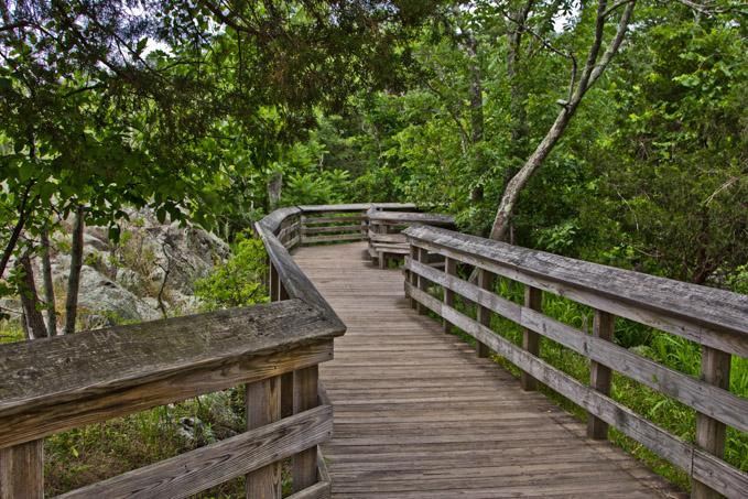 10-KathleenWiklund-B-Tree-Covered-Pass