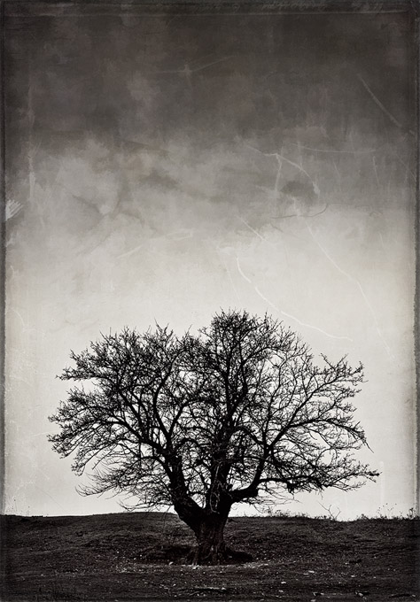 22-linscott-a-falling-sky