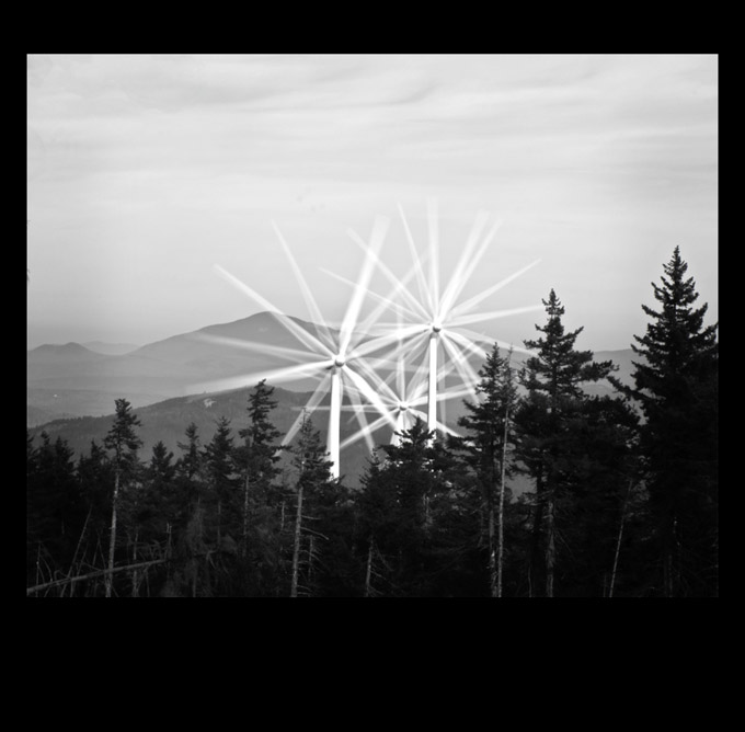 30-Jackieflowers-B-We-are-trees-right