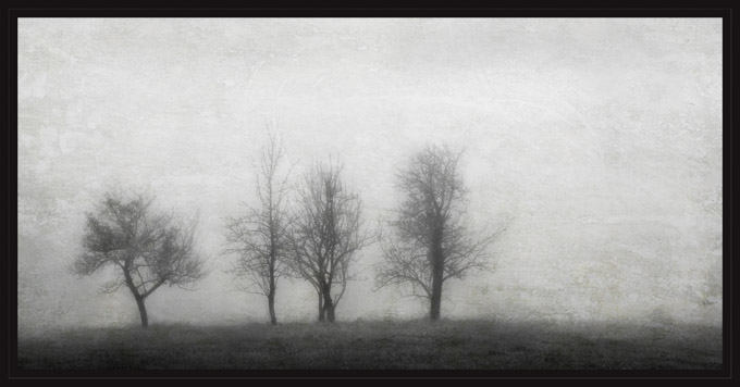 35-DarylannLeonard-A-Foggy-Morn