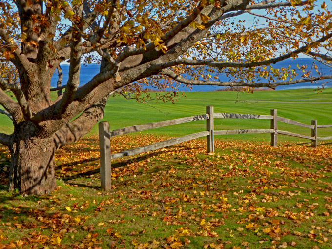 42-MeritaMcKenzie-A-Samoset-Colors