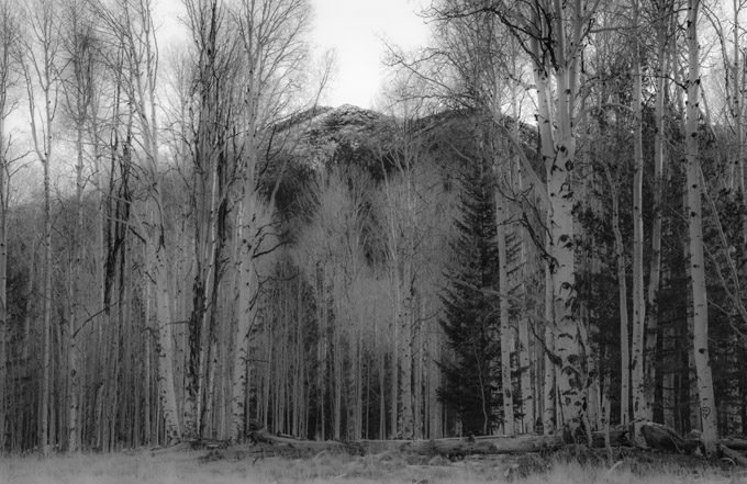 59-johnmeehan-b-Aspens