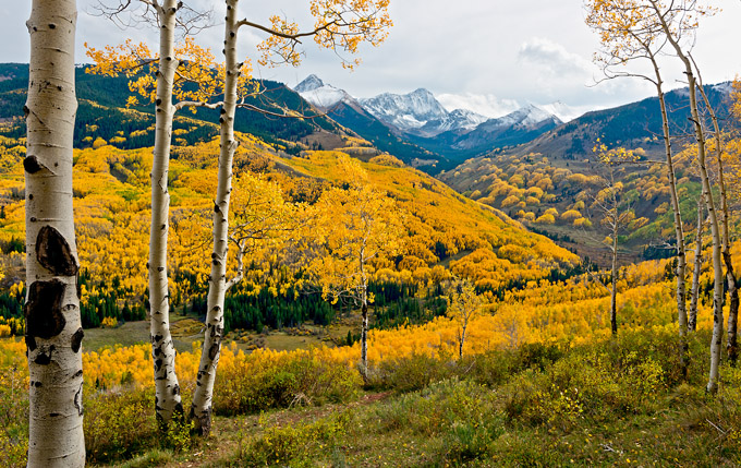 68-RickThompson-B-September-Foliage-Capitol-Peak