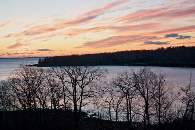 73-francesca-gs-trees-at-sunrise