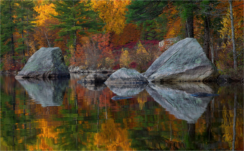 darylannleonard-a-reflections