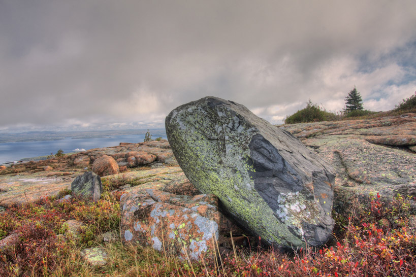 sandra_wescott_colors-of-acadia