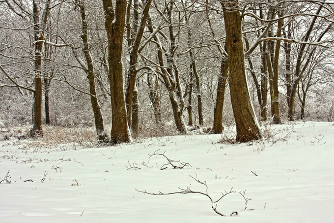 09-SandraWescot_A_Fresh-Snow_