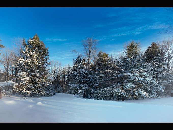 18-FredHeimann-B-The-Road-Not-Yet-Taken