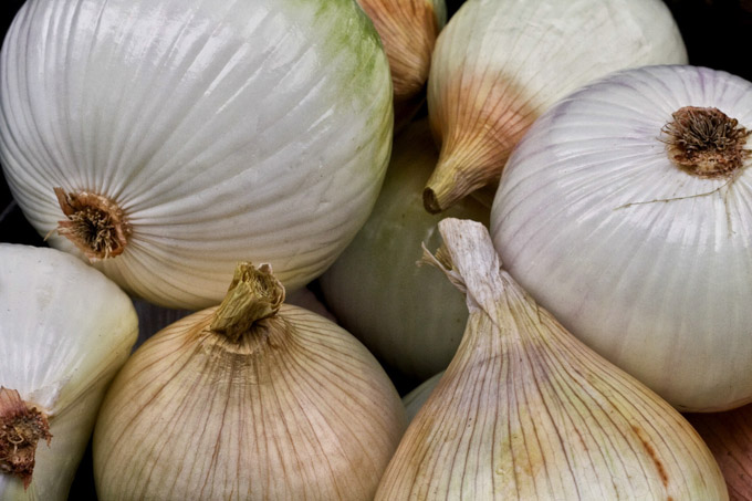 23-Sandra_Wescott_A_Onions_C_
