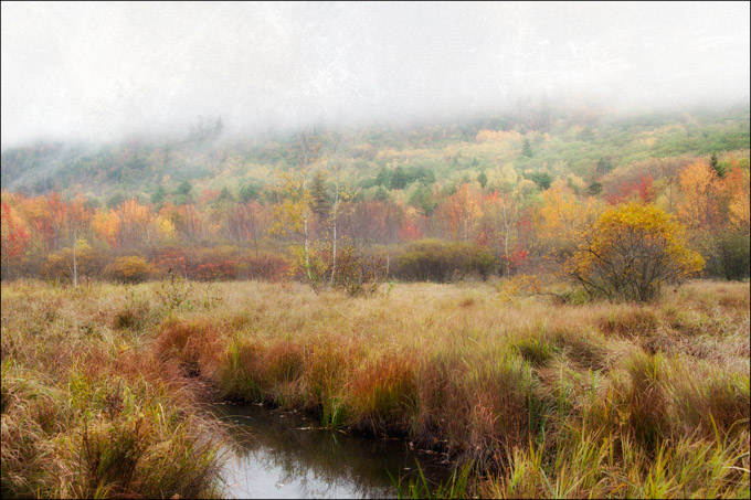 59-pam-davis-A-Acadia-Autumn